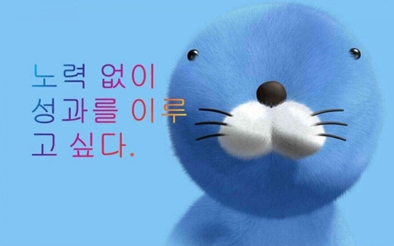 주 영 ✨