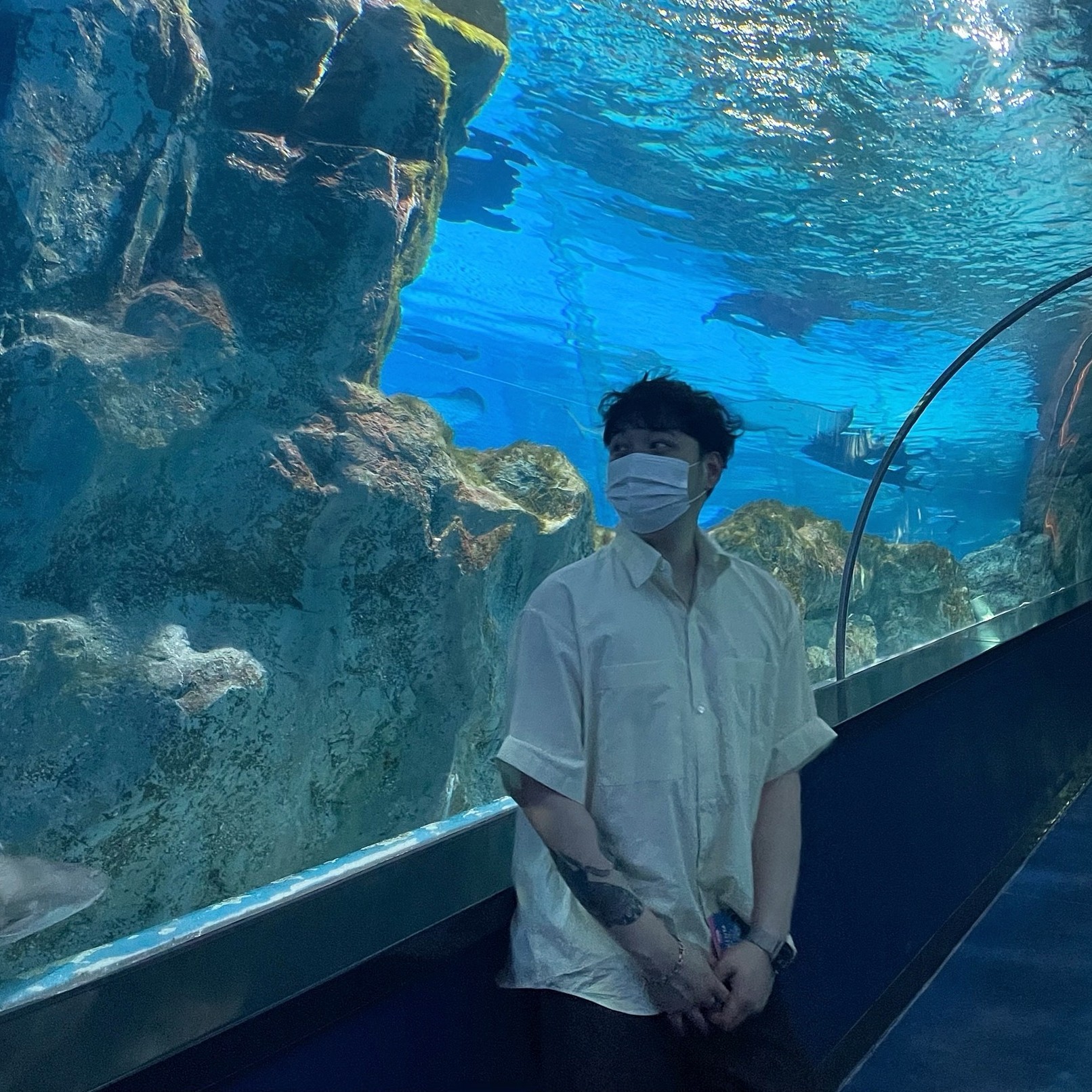 ˗ˏ🌙 𝗄𝗂𝗆𝖺𝗍𝗈