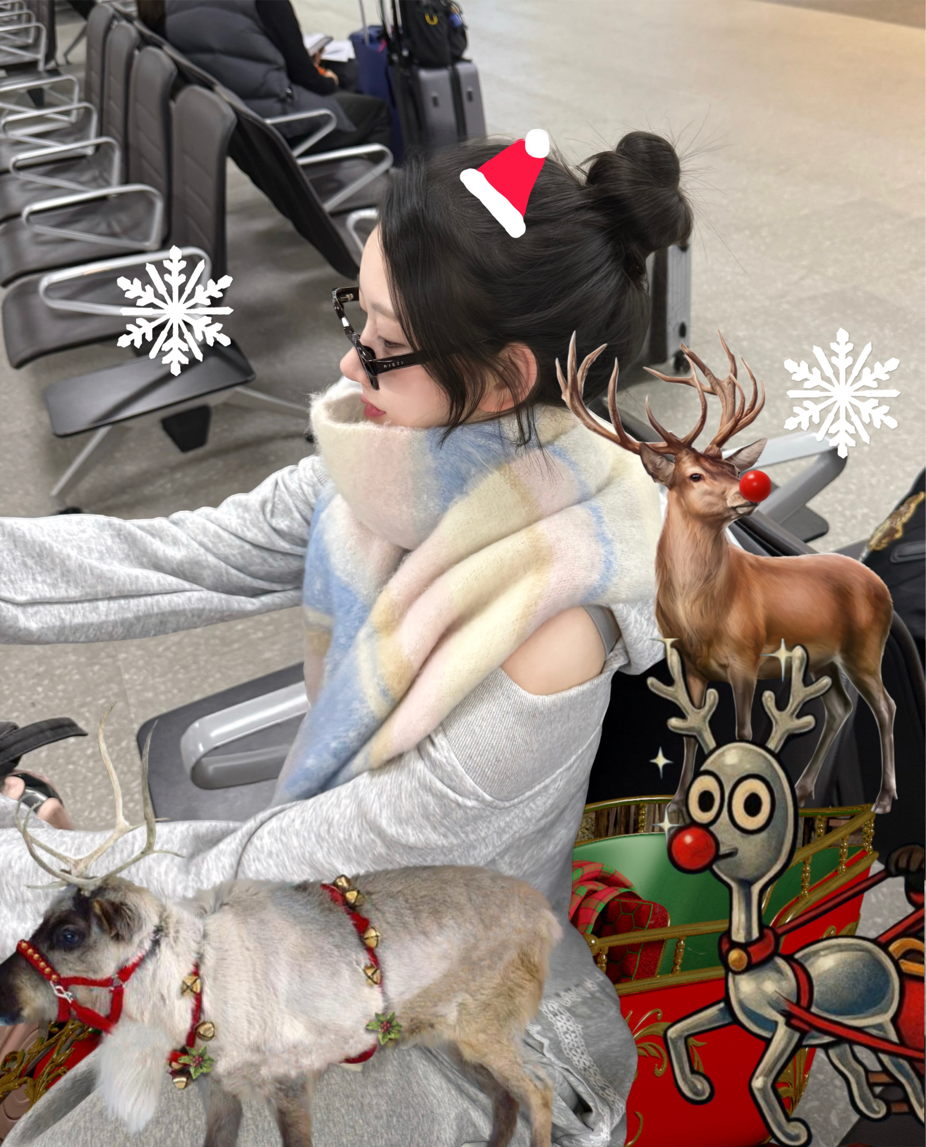 🏮 푸 린̌̈ 🍶