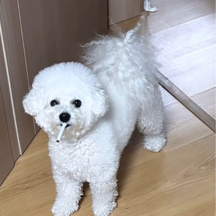 인스타 맞팔