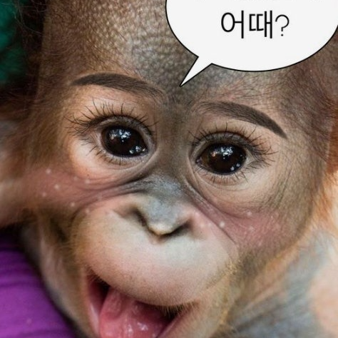 윤댈 𝐷𝑎𝑒𝑙