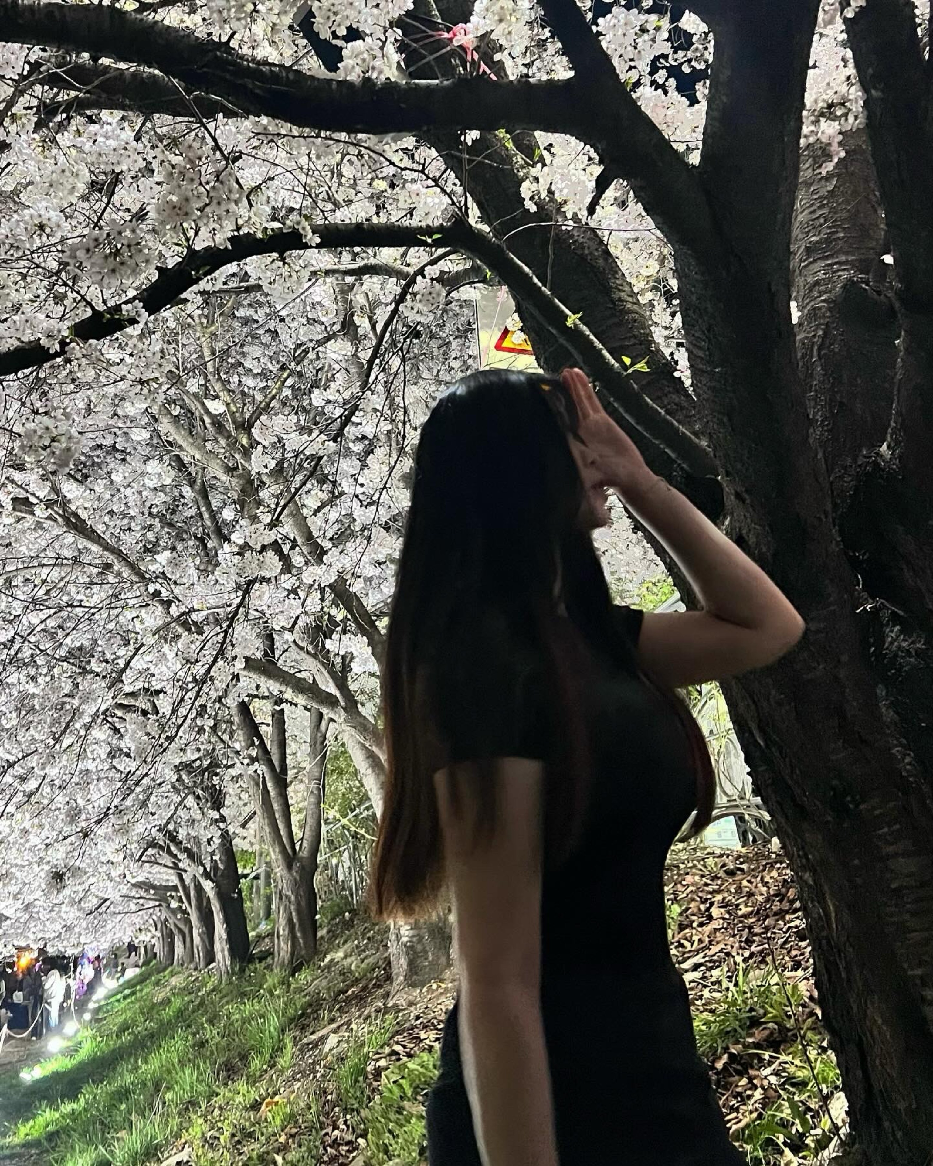 그냥 쨈민쿤 ฅ