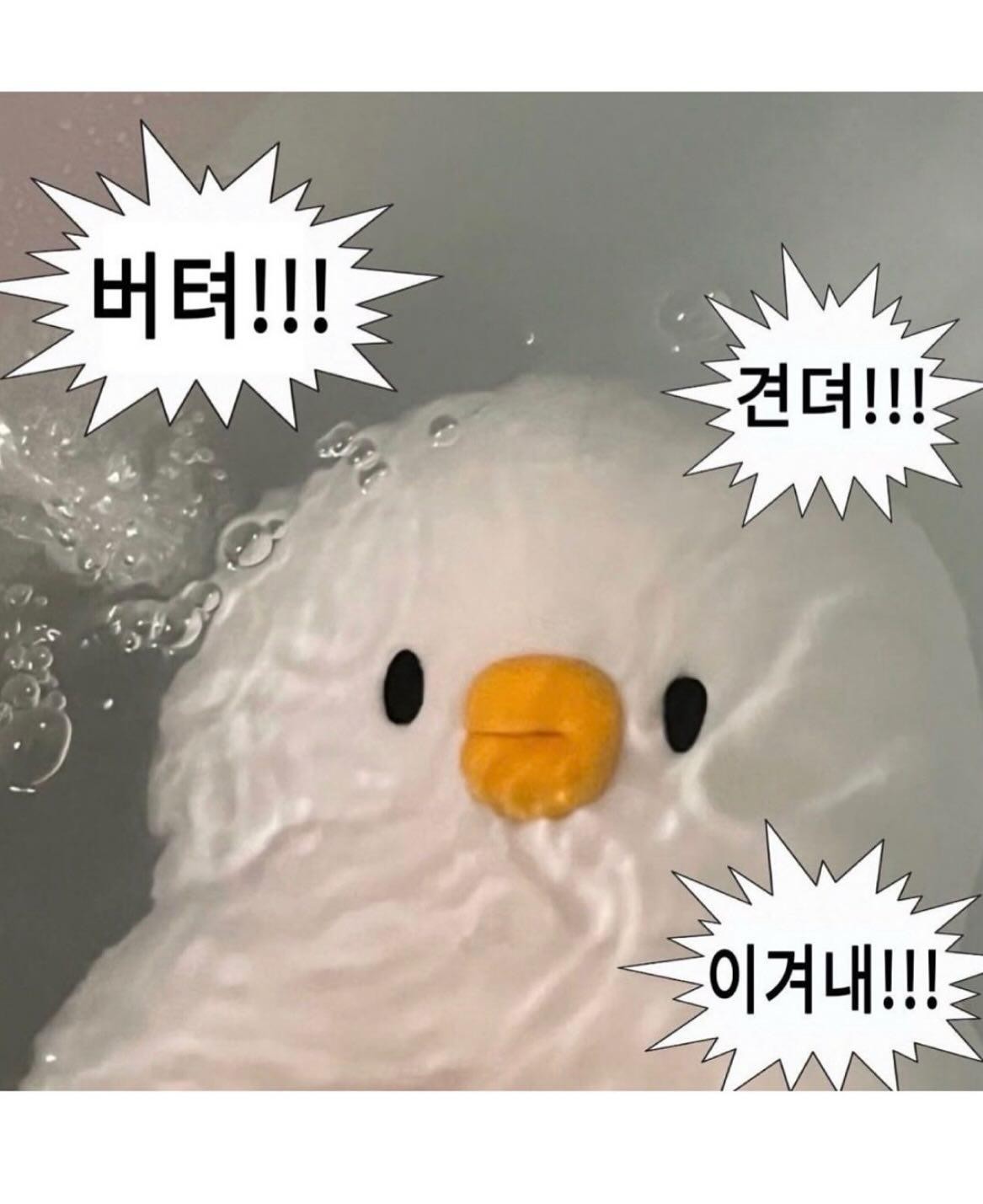 .유니콘