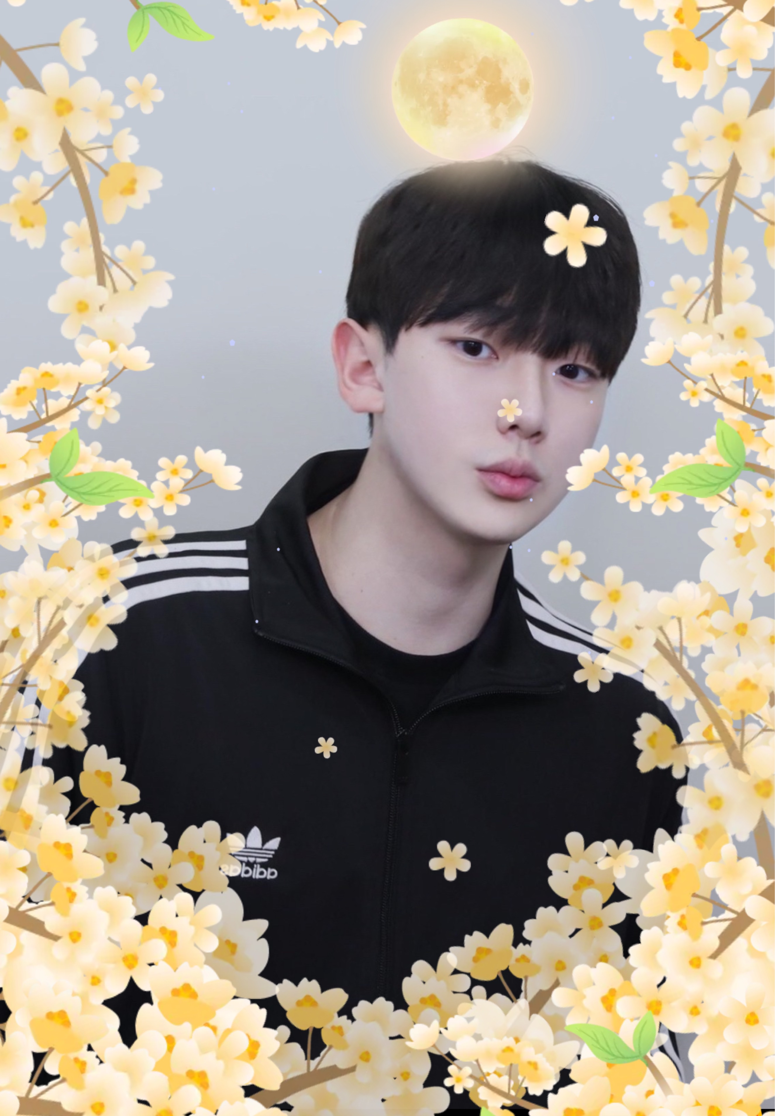 태 규