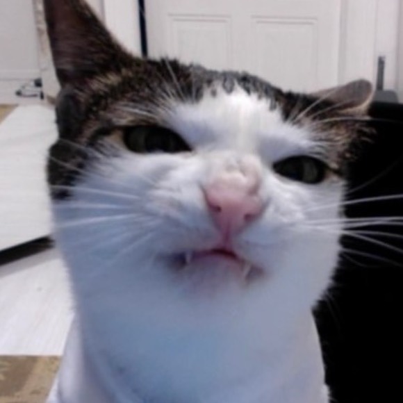 행배