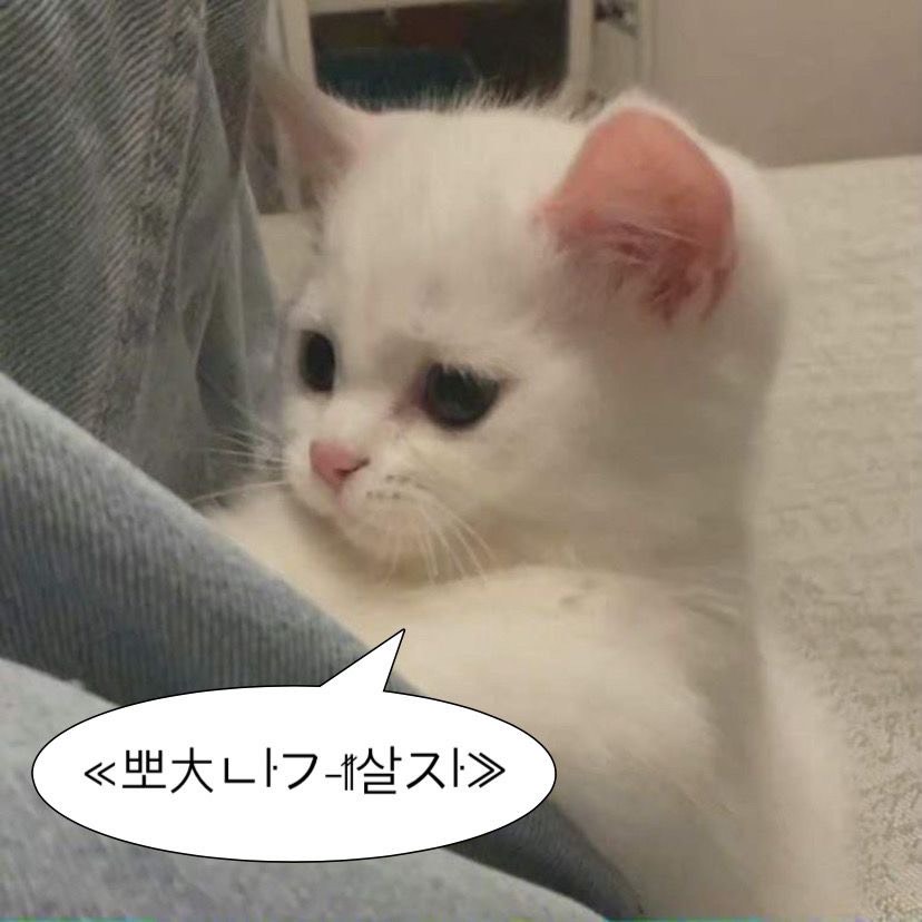 조아