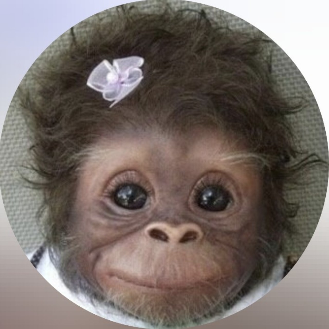 푸른D̆̈B̆̈ ❥