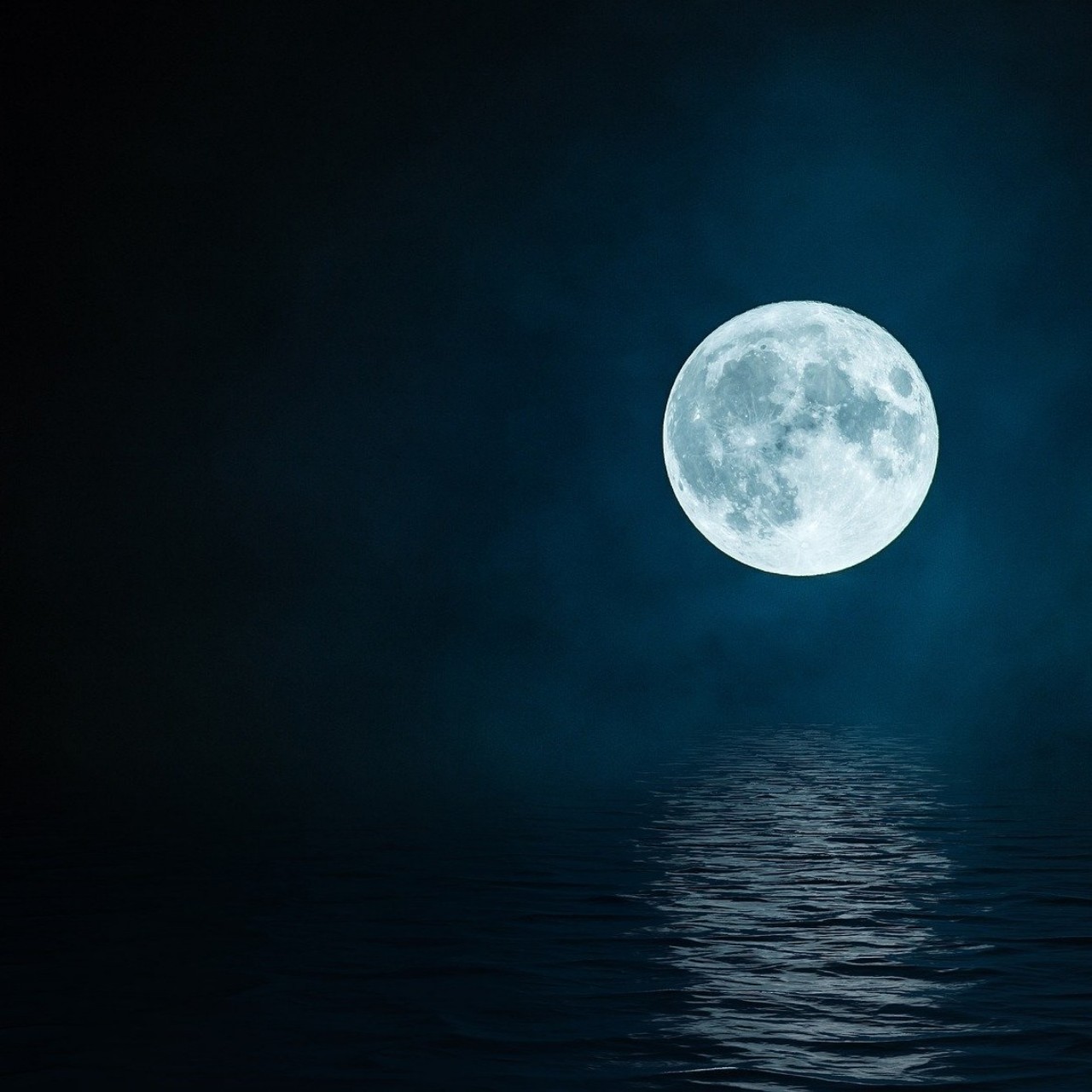 달을좋아하는사람