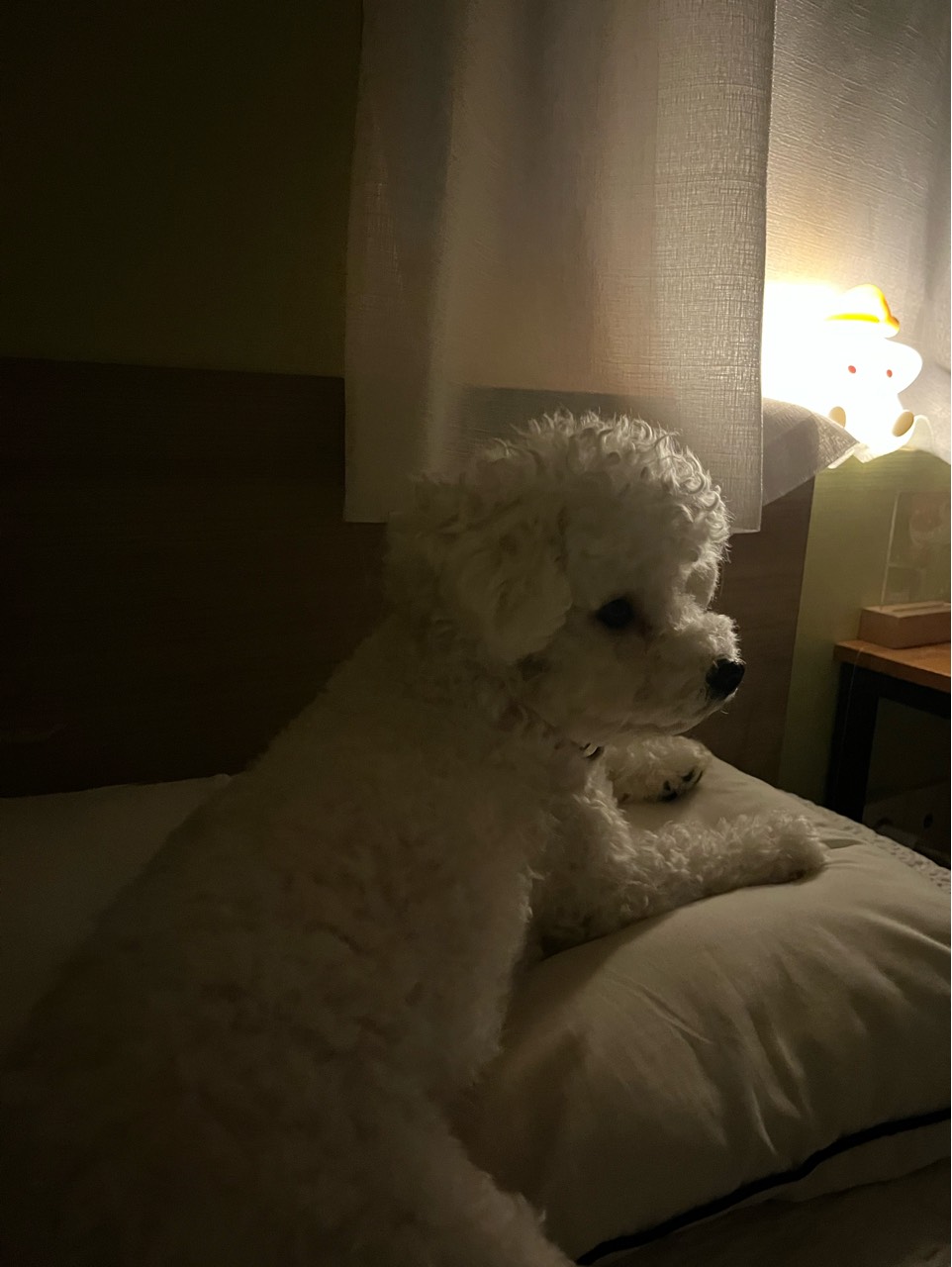 국밥한그릇