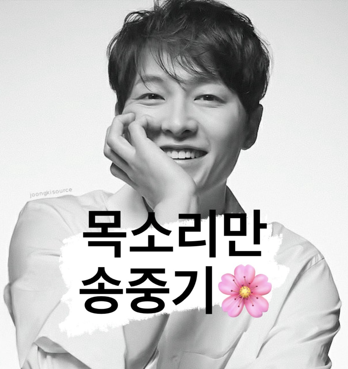 예쁜 말 송중귀ᴸᵉᵒ