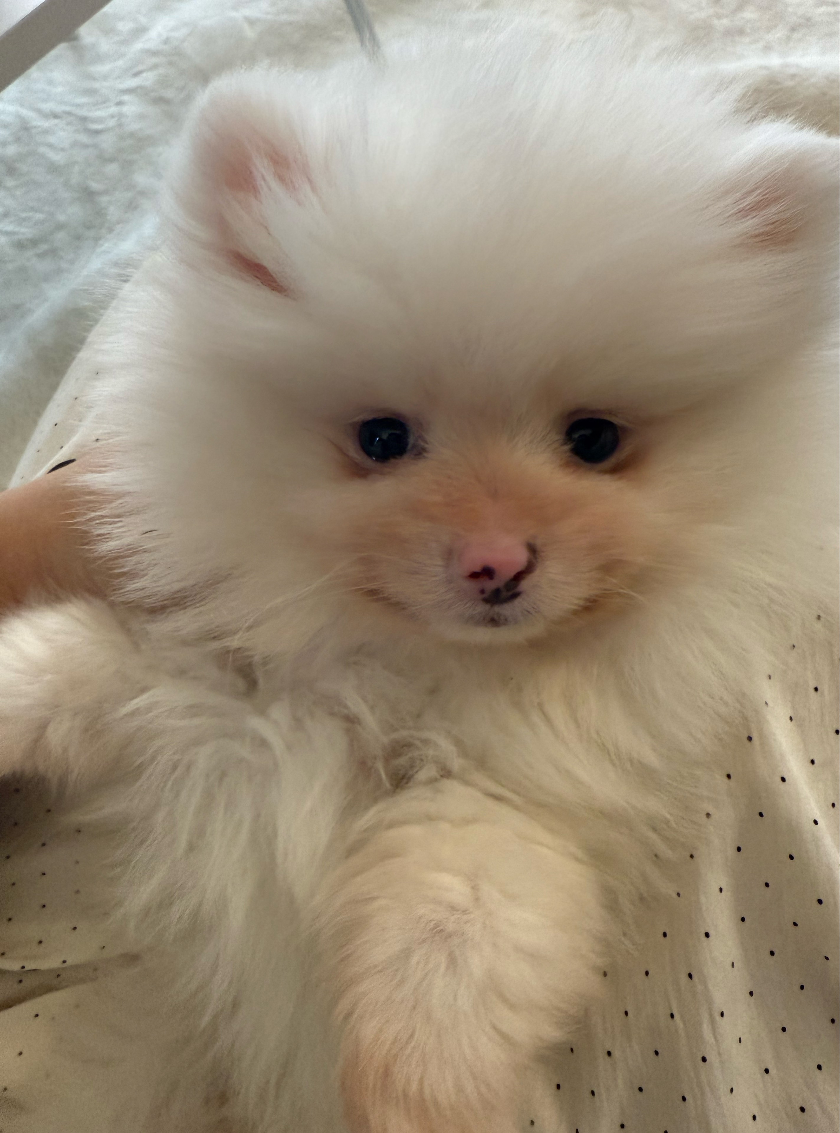 비 트 𐙚⋆˚ 🪙