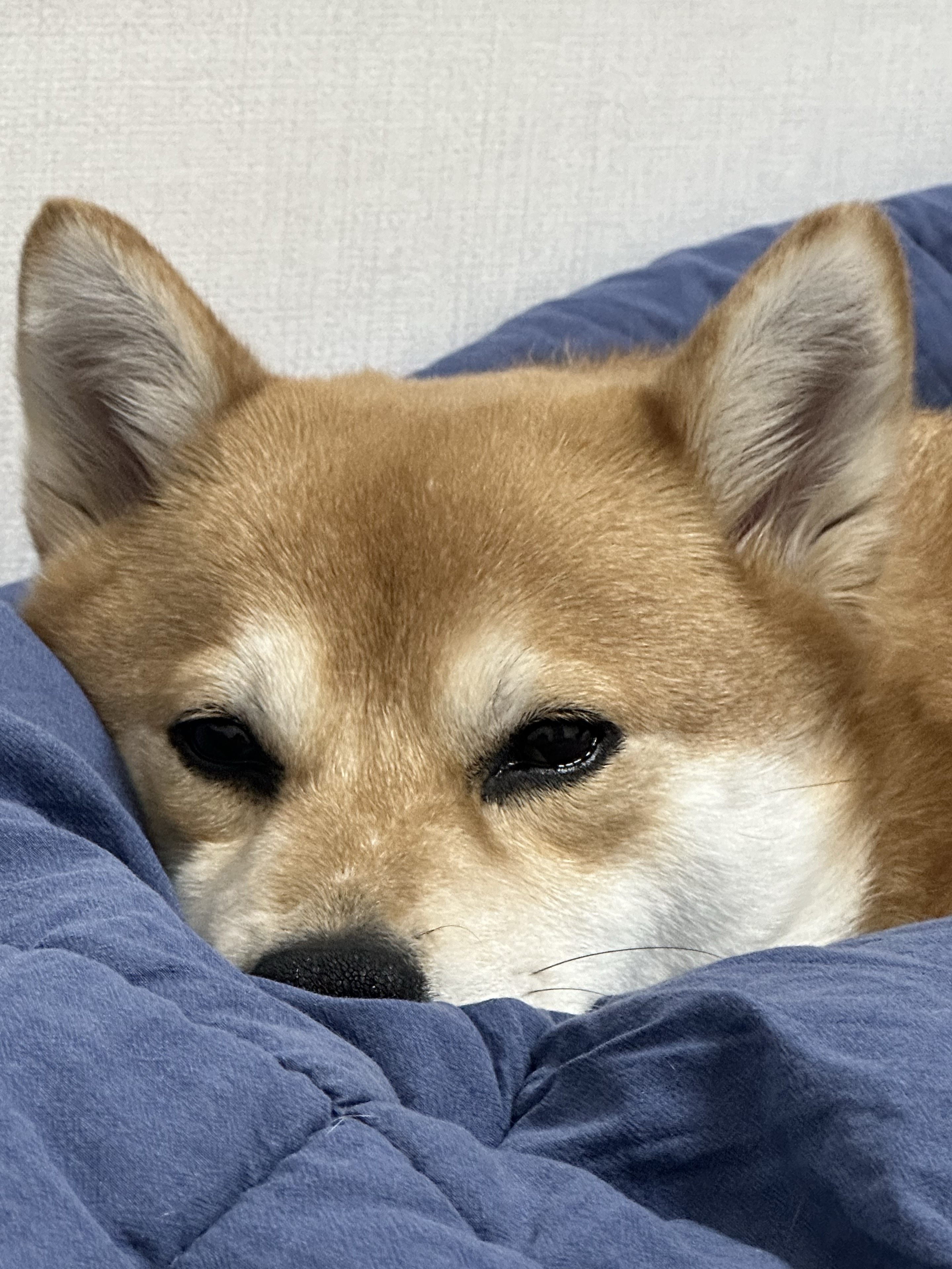 수    신 𝒔˚₊·