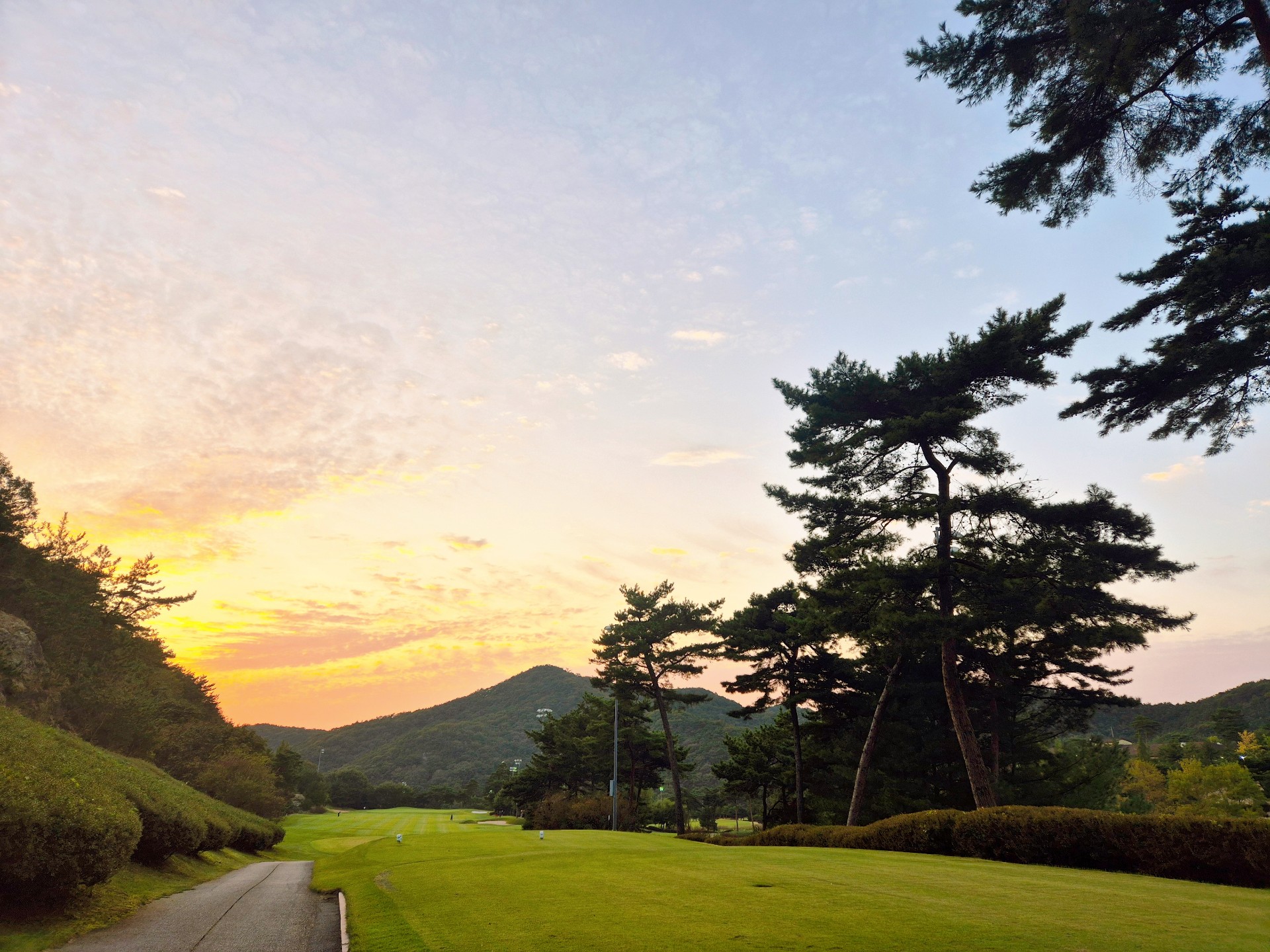 꽥     꽥 ⛰️ 🏔️