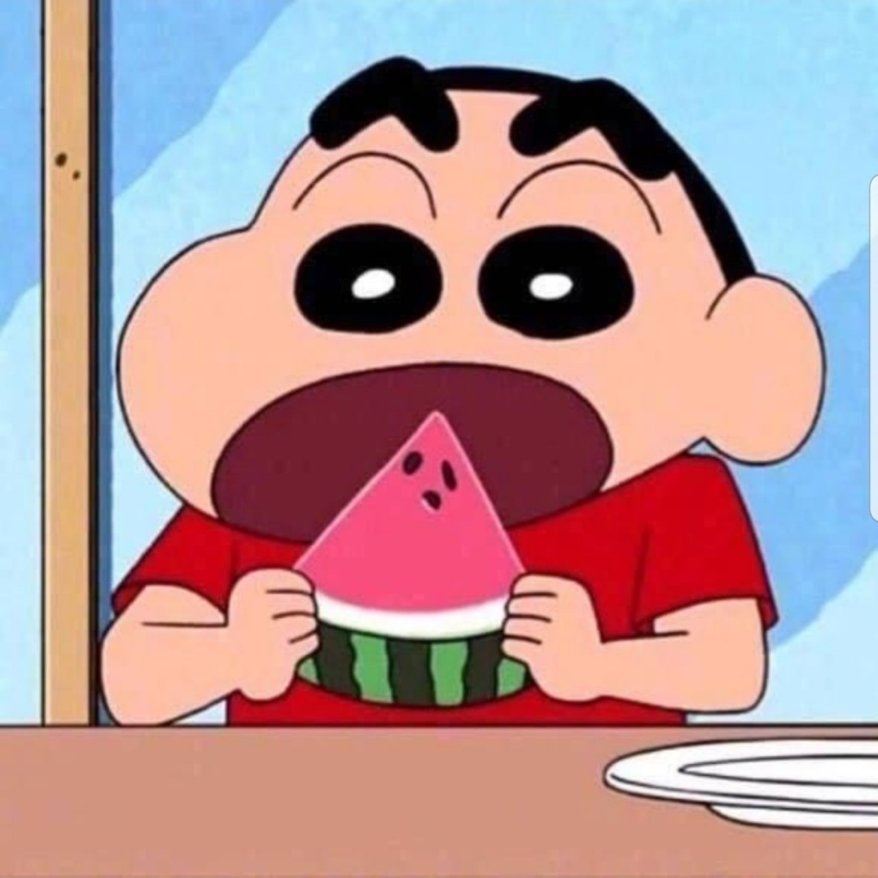 광카