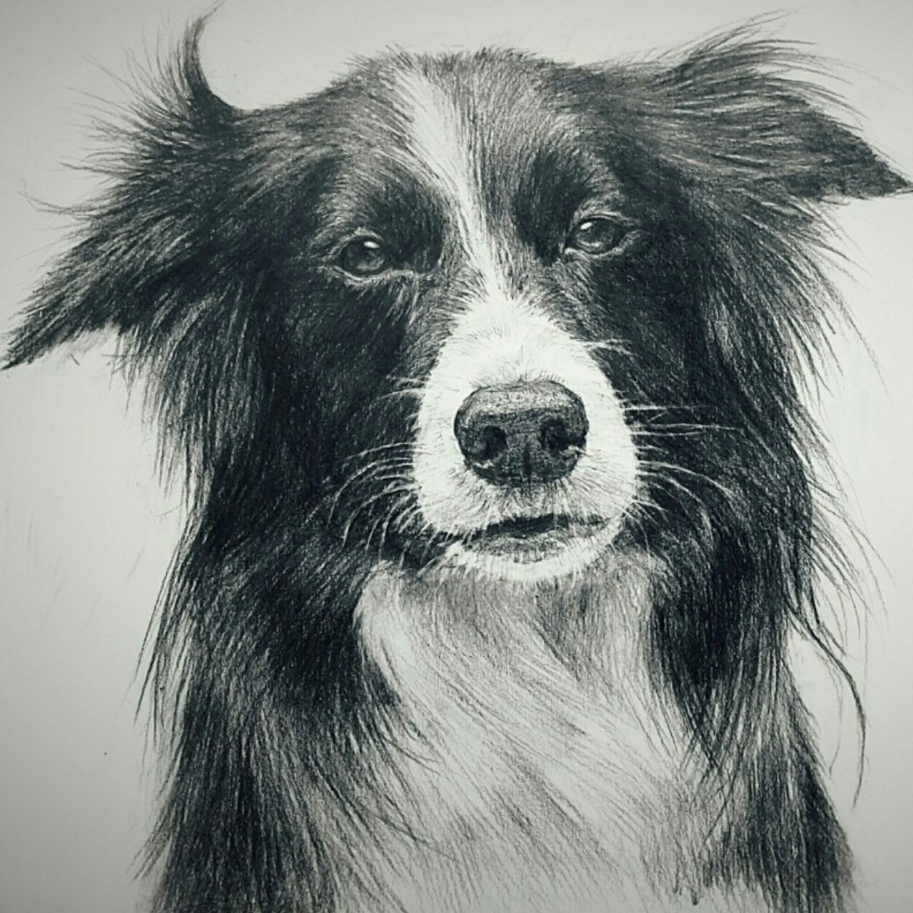 ˚ℳ̆̈*₊밍밍이의 망나니 레인보크