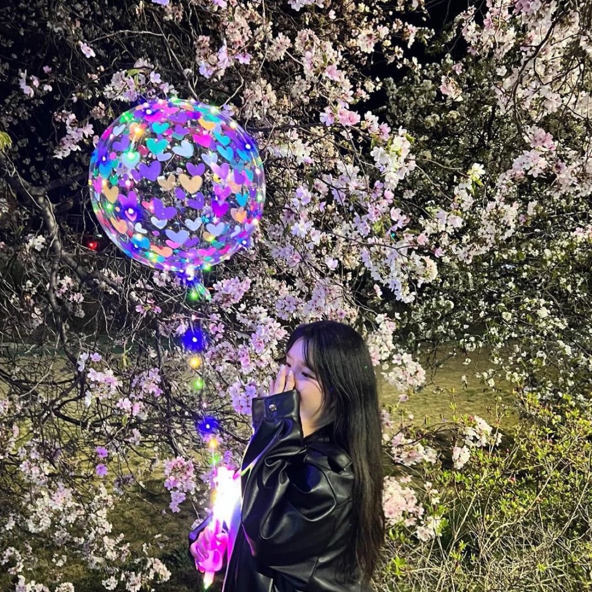 🎀 애공 부계 🎀