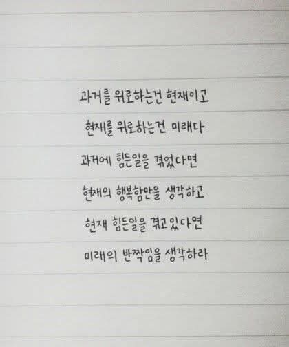 𝓇𝓅˖숲속의 토끼🌳ᷤ ᷳ ᷳ ᷮ