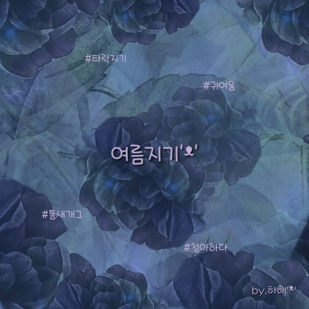 ‍‍‍‍‍‍‍🄰여름지기'ᵜ'