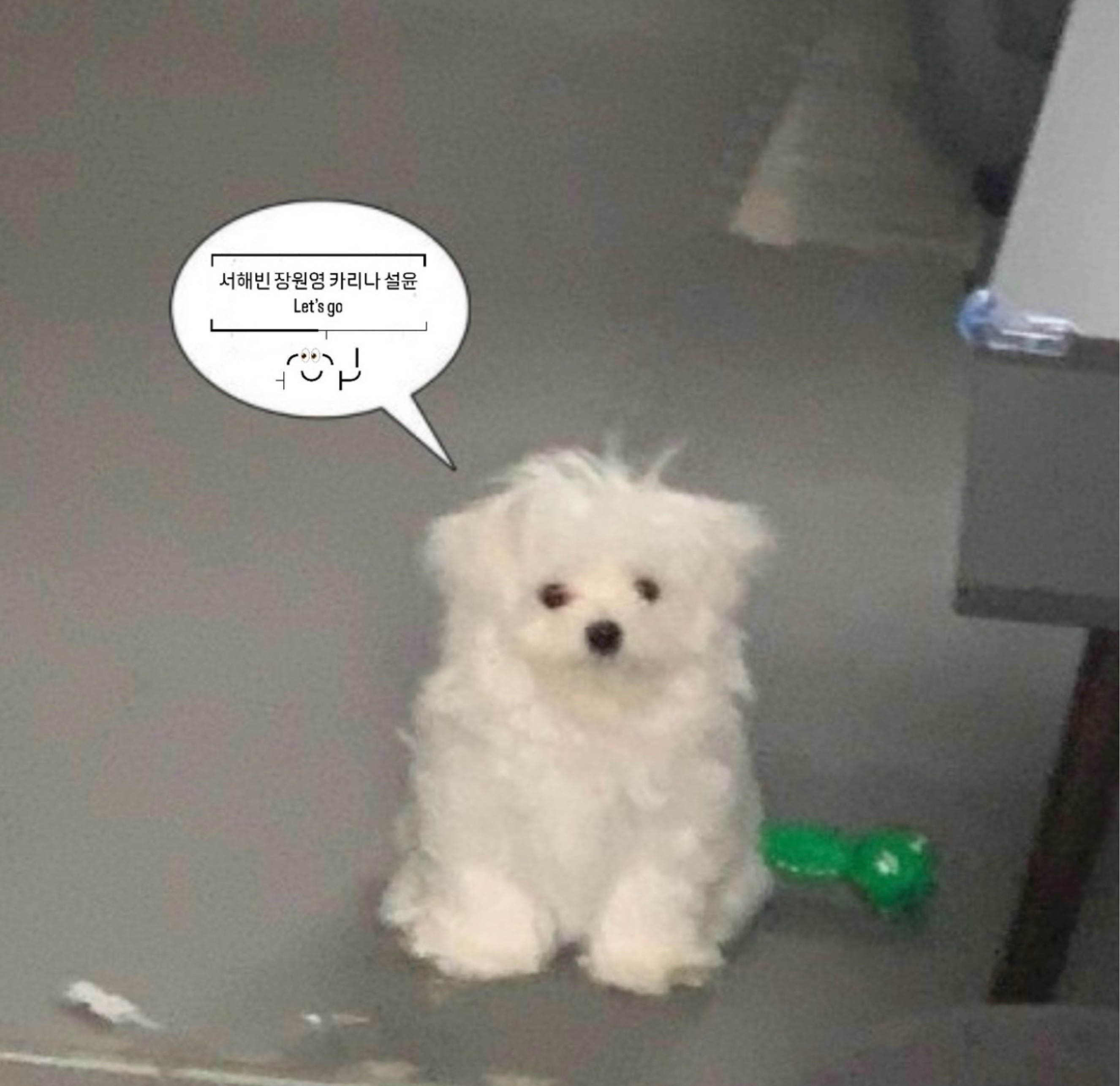 ꘪ *·° 서 뮤 어