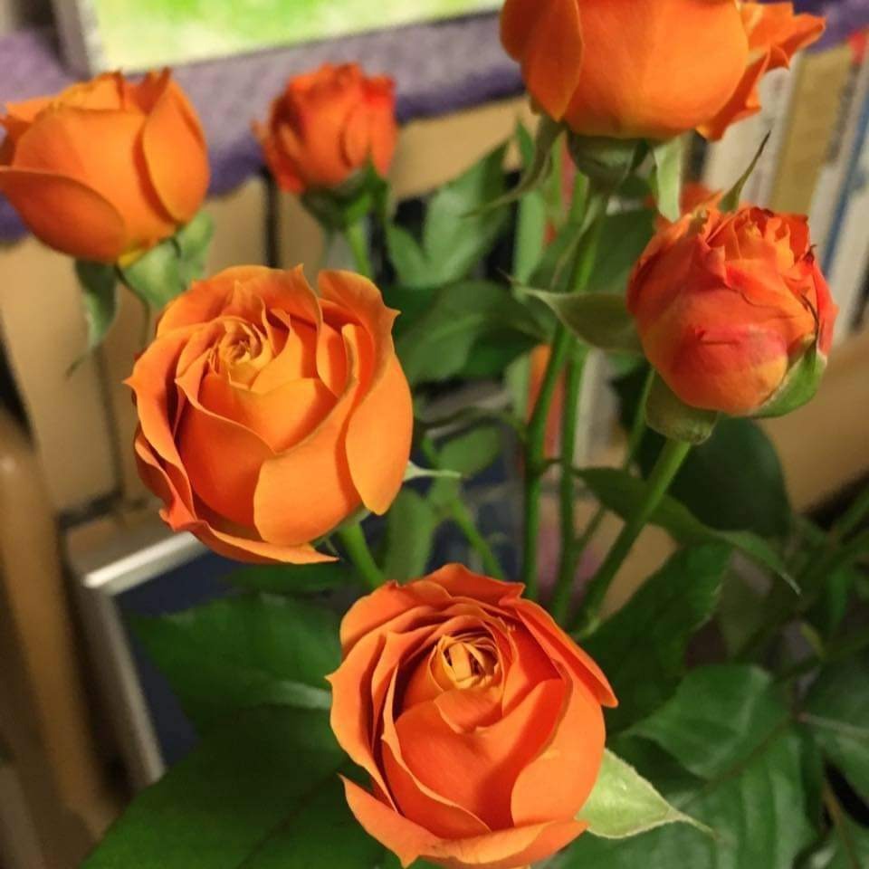 🦋🦋부산여자곽선정🦋🦋