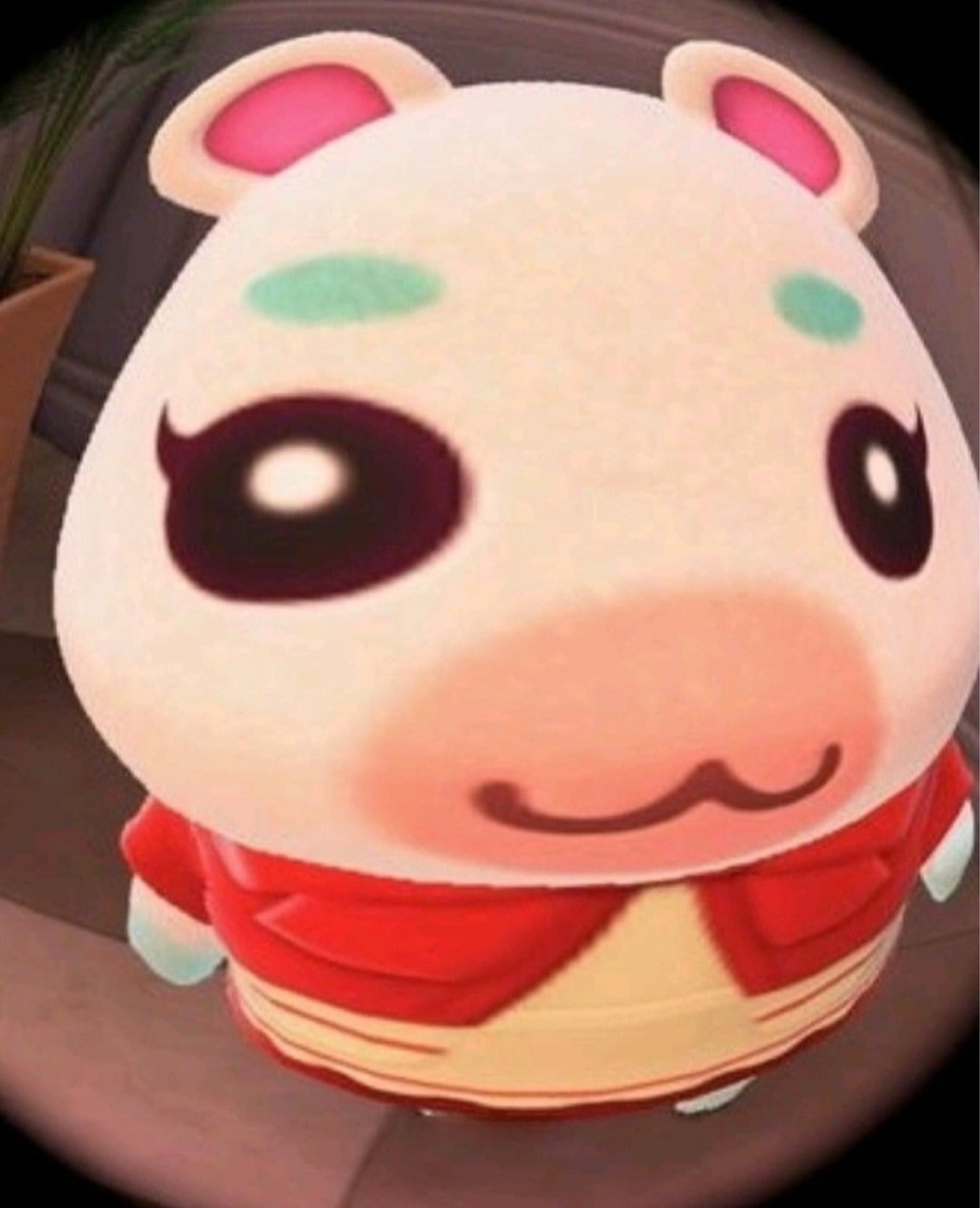 임짜룽ᵐᵃʳᵘ🧡