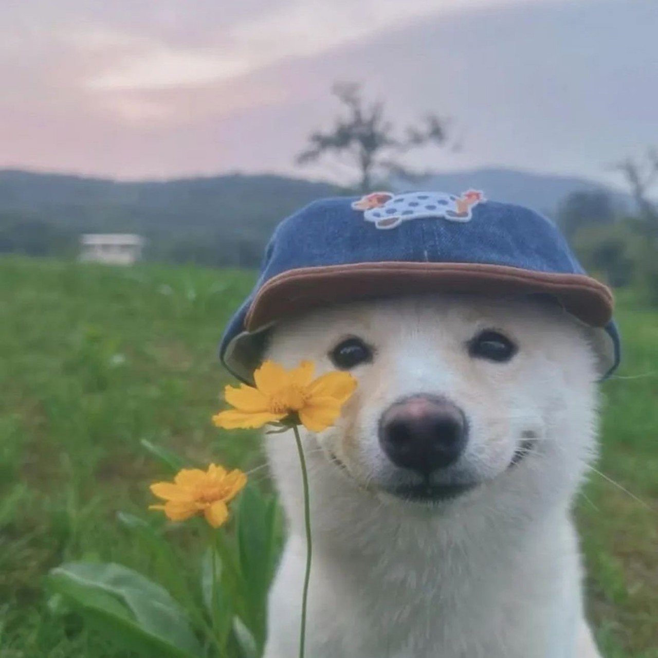 이 도 ²ᶜ° 300일 🎉