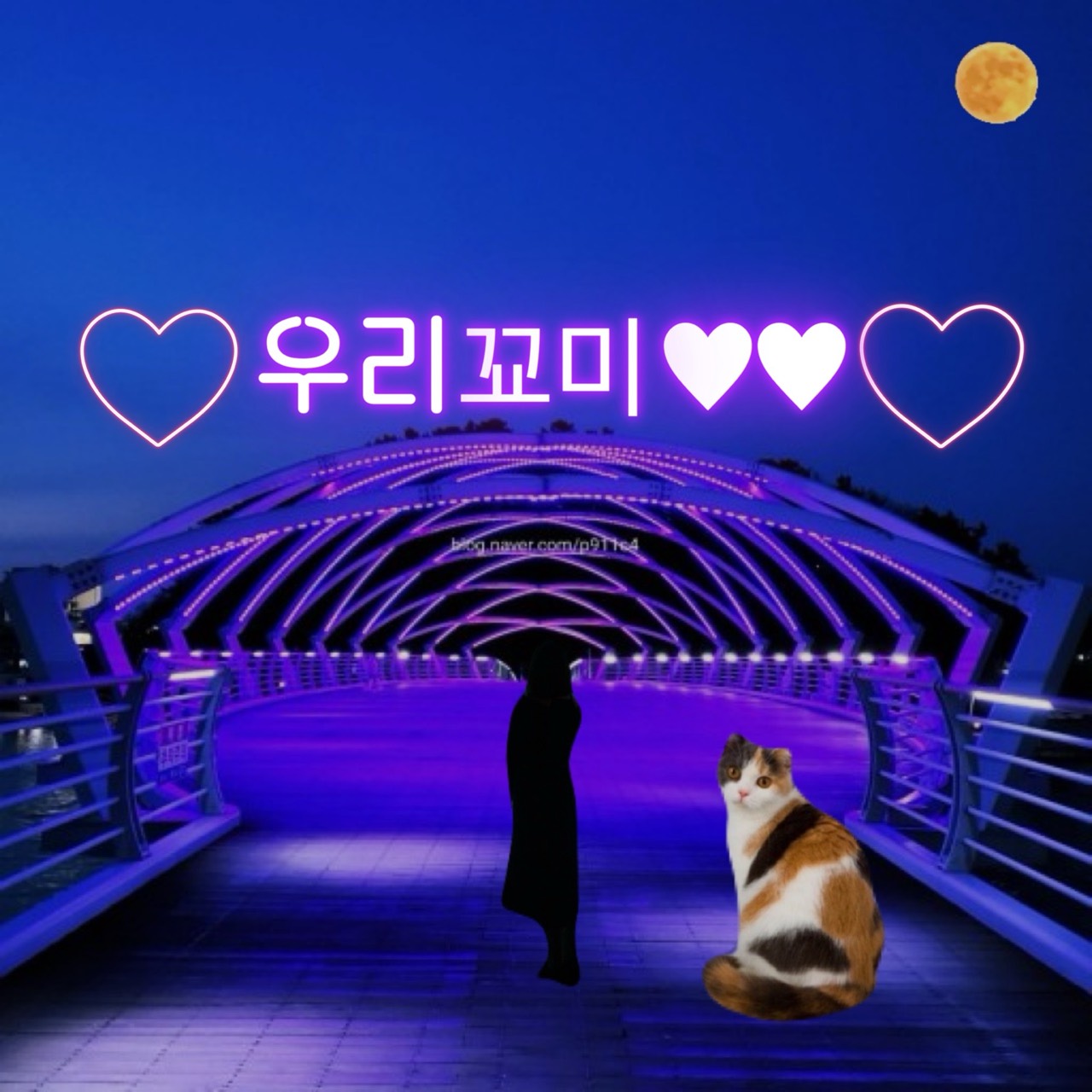 ⚂{짱구ѕн̆ͦͯ}꾜미🫶 바라기🐹 ⚂
