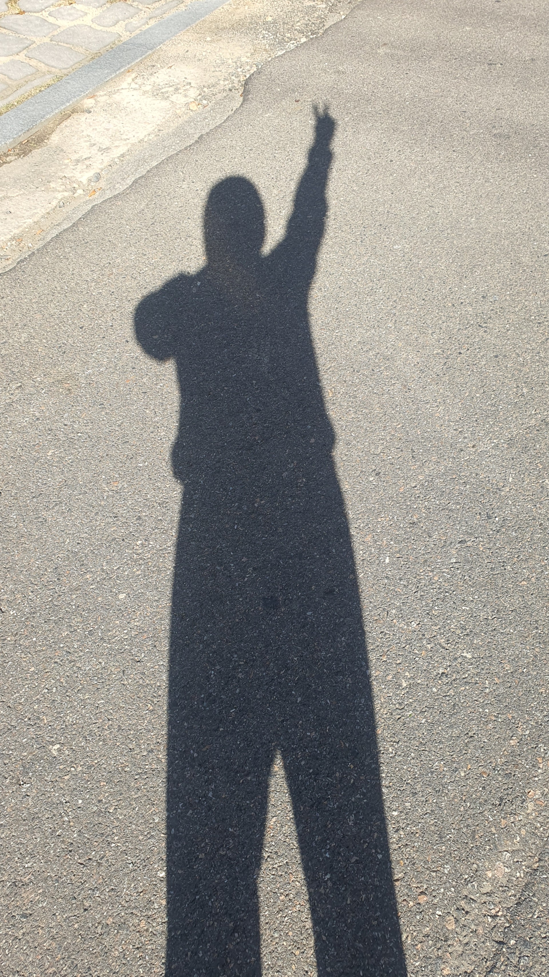 마루ᵐᵃʳᵘ🧡