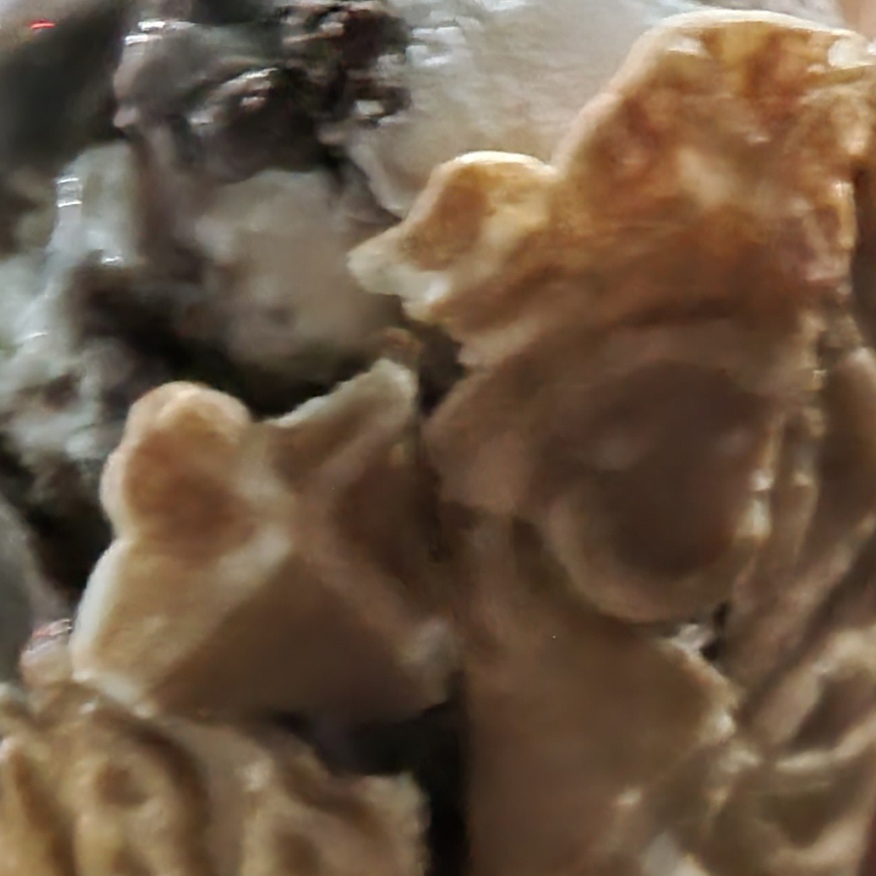 김파랑🙇🏻‍♂️