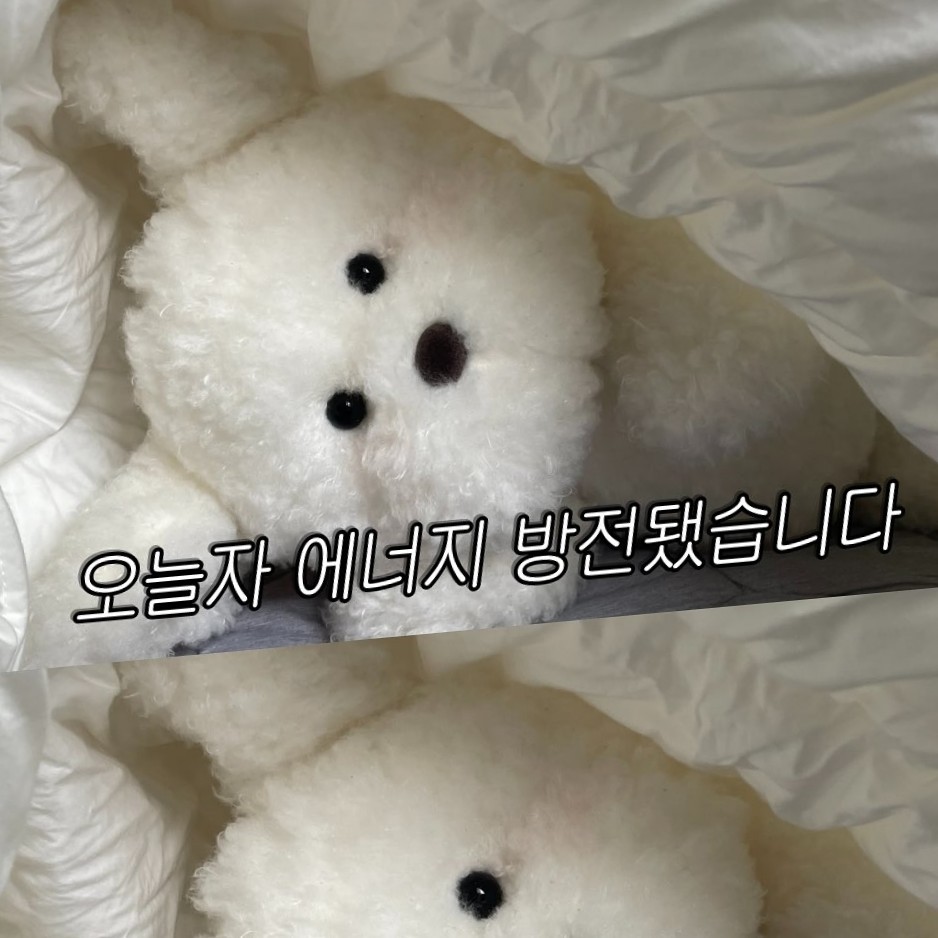 박 뽀 용﹏✰