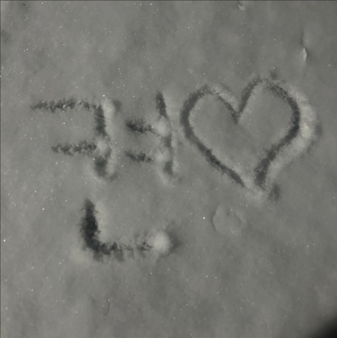 💲켠이 바라기 뽀리💲