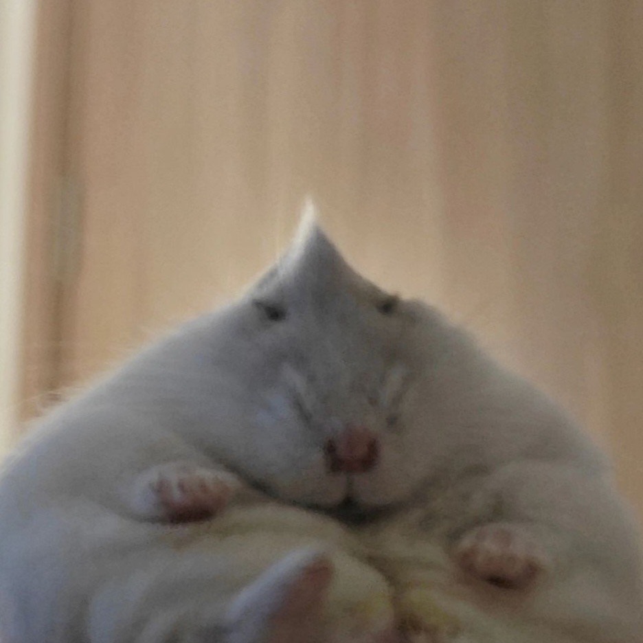 한국 항공 화물 항공기