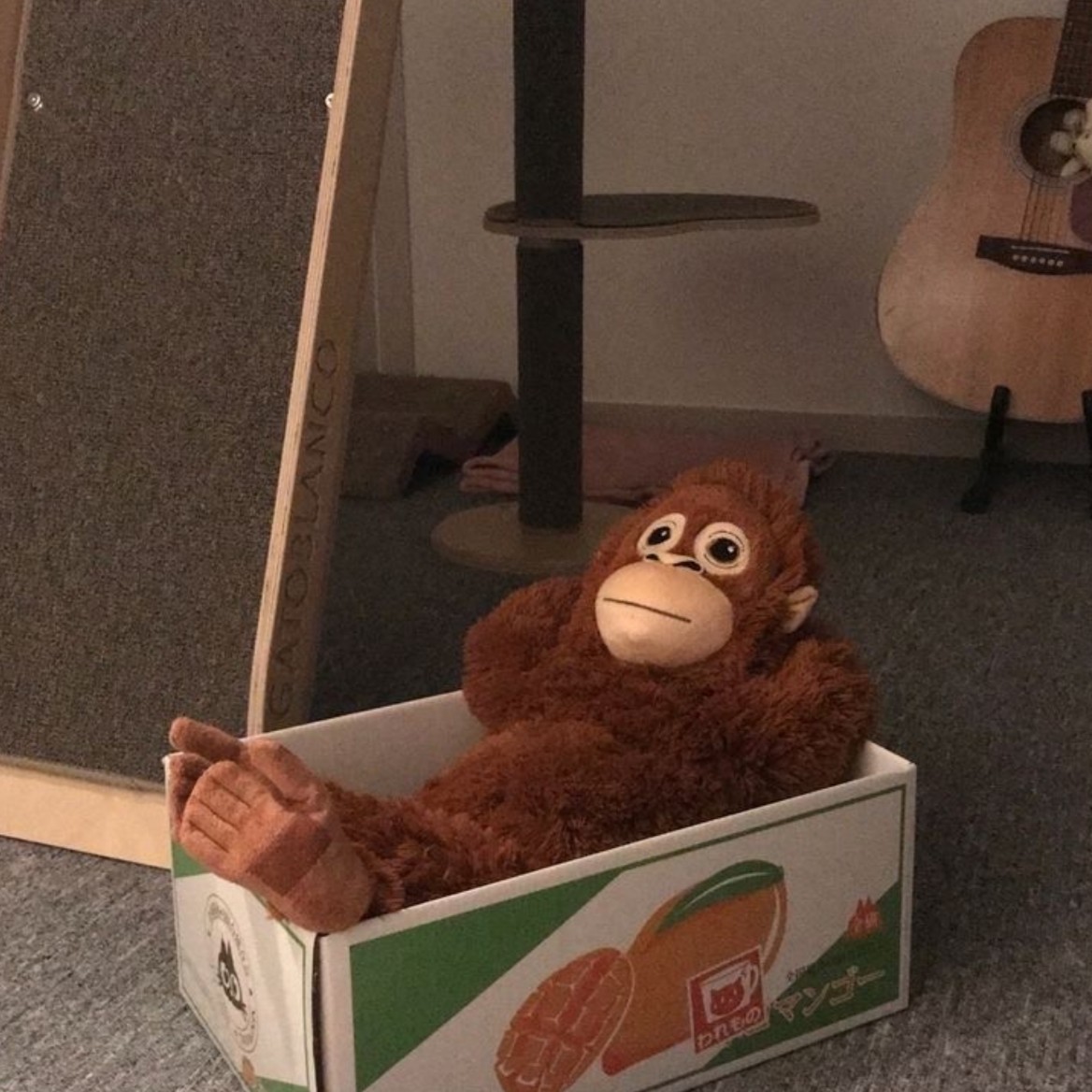 🔒 아 가 치 로 🔒