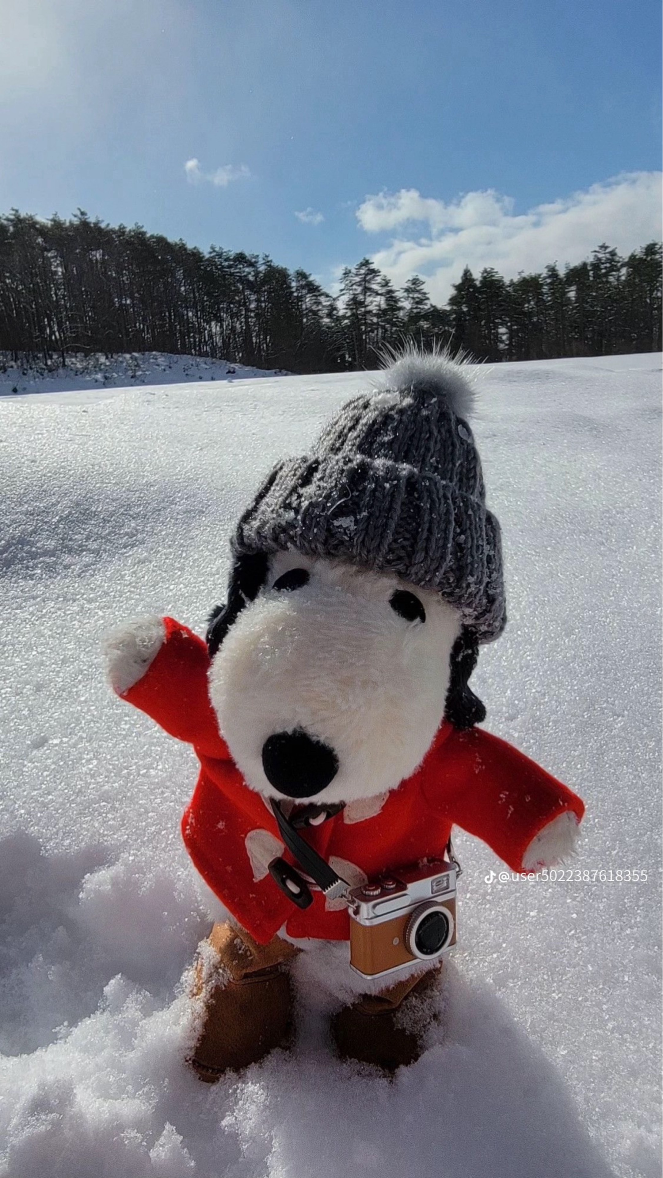 𝑊𝑖𝑛𝑠𝑜𝑚𝑒𝑠𝑠 🪽⋆⁺