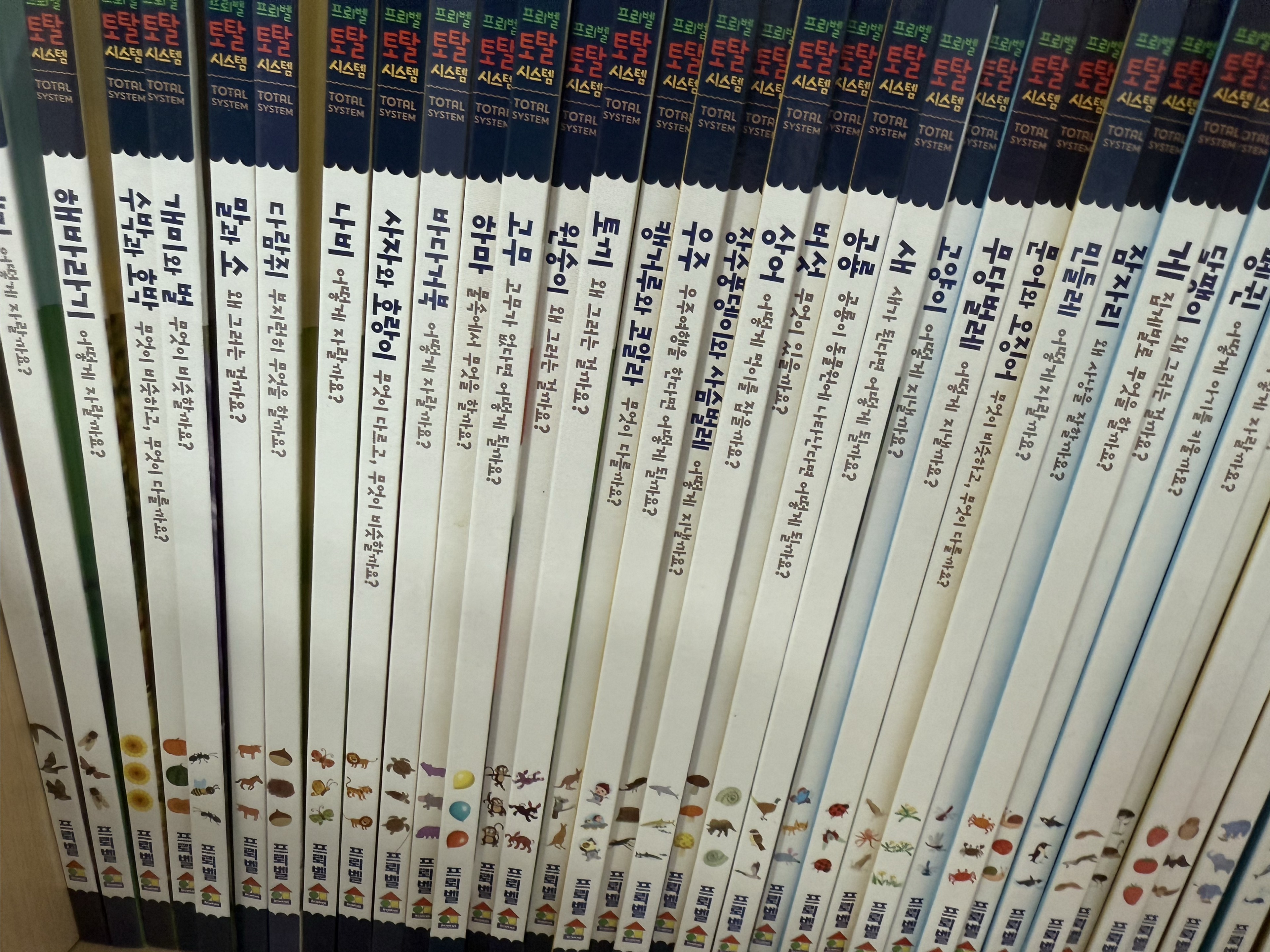 🏮점 마 Of Meredith🍶