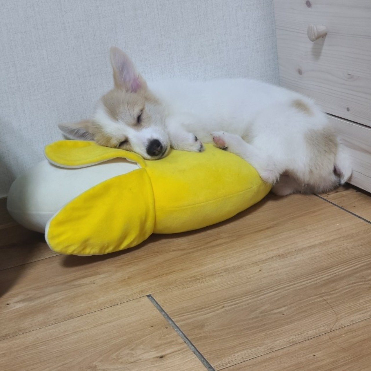 외로운로하ᴿᴴ       𝖕𝖓𝖝