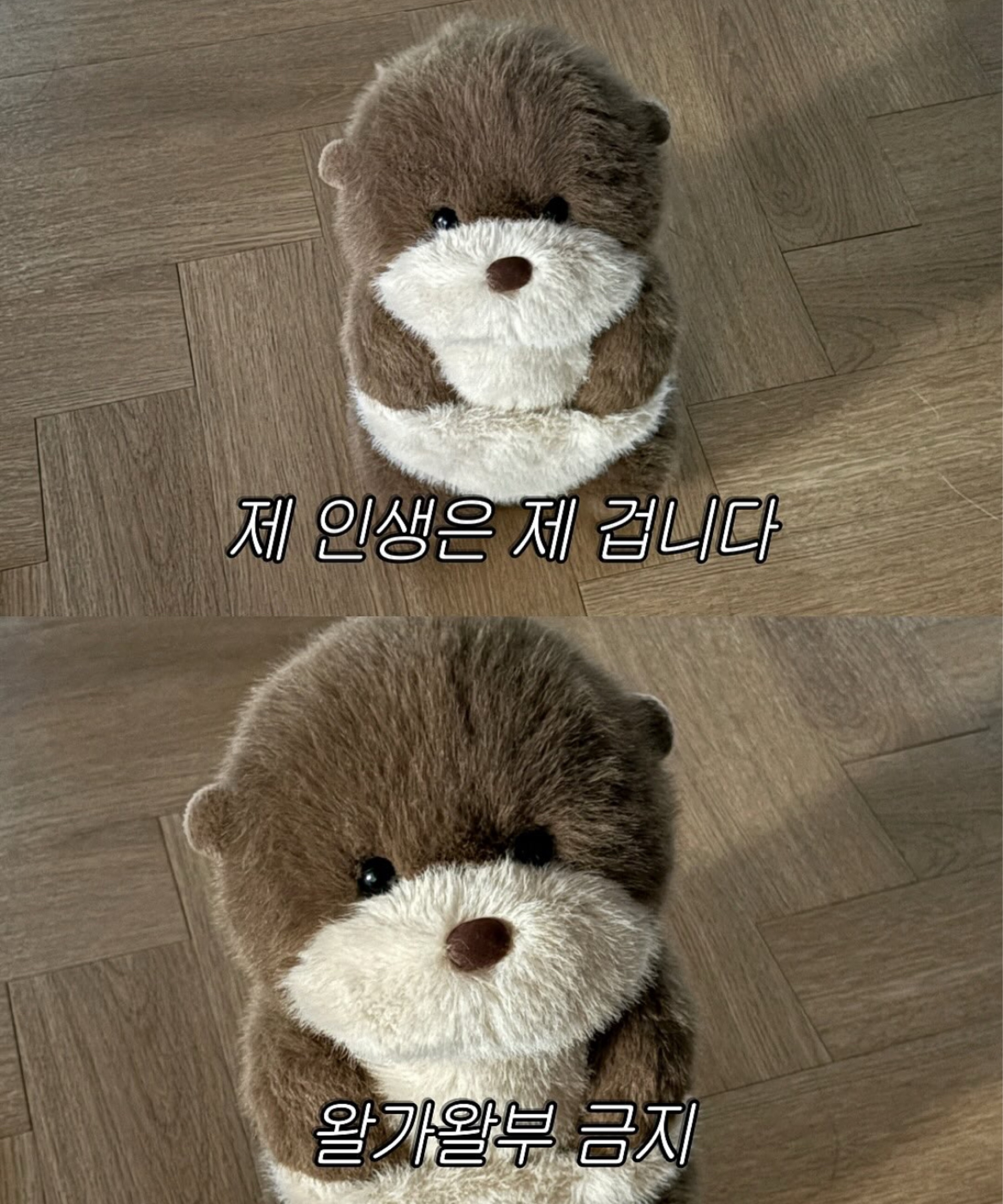 재 혁    ⭐️