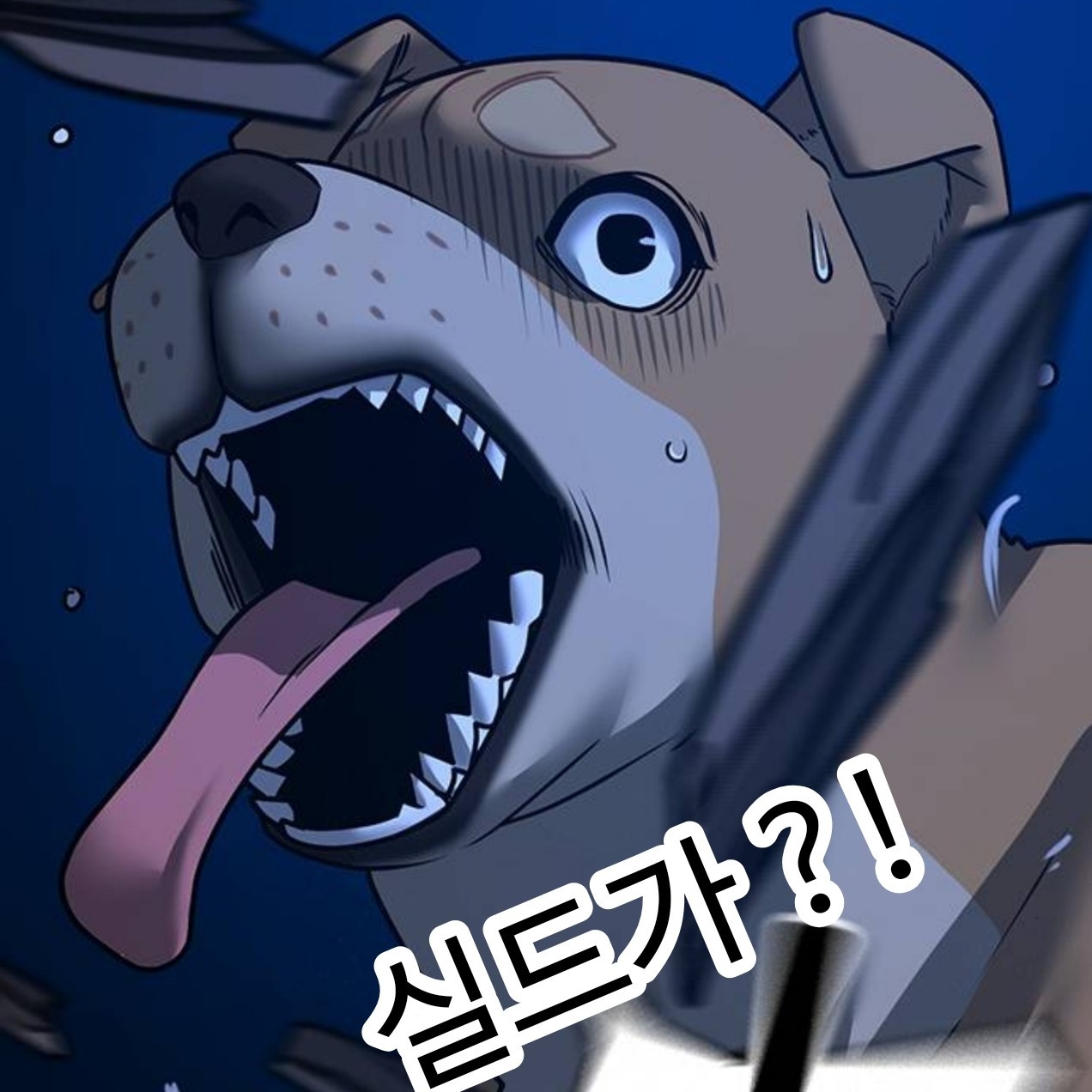 ๐ผ ํ๋