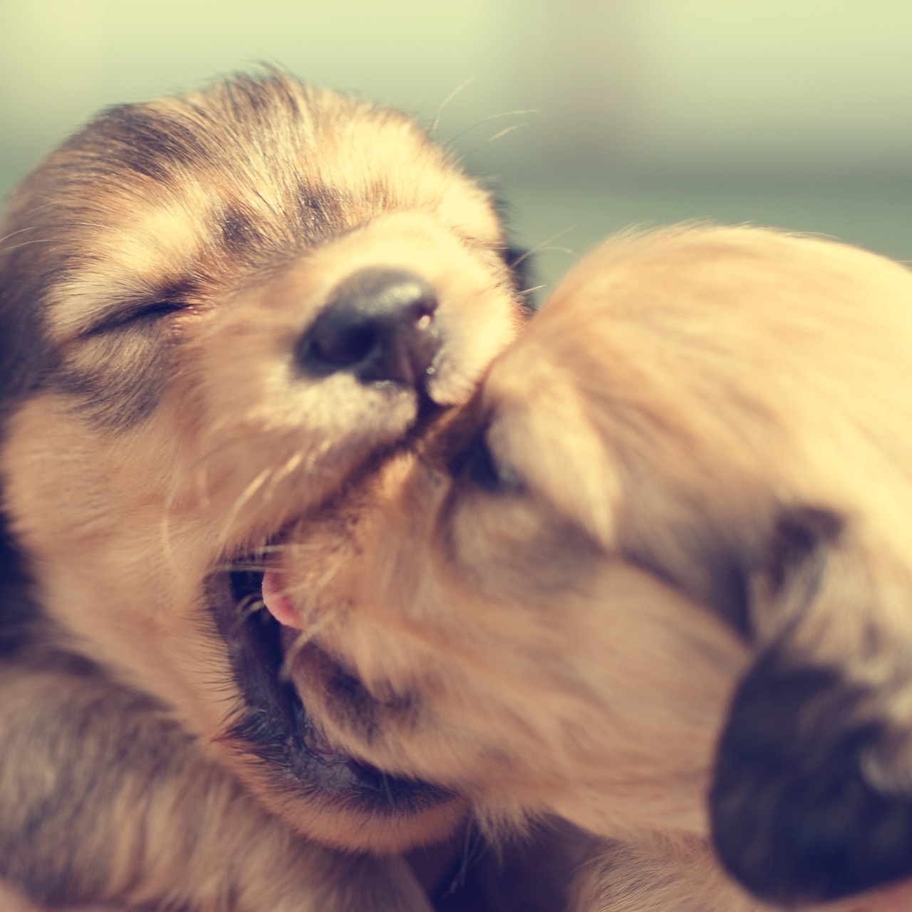 🅦=͟͟͞͞💙Ćigär🚬