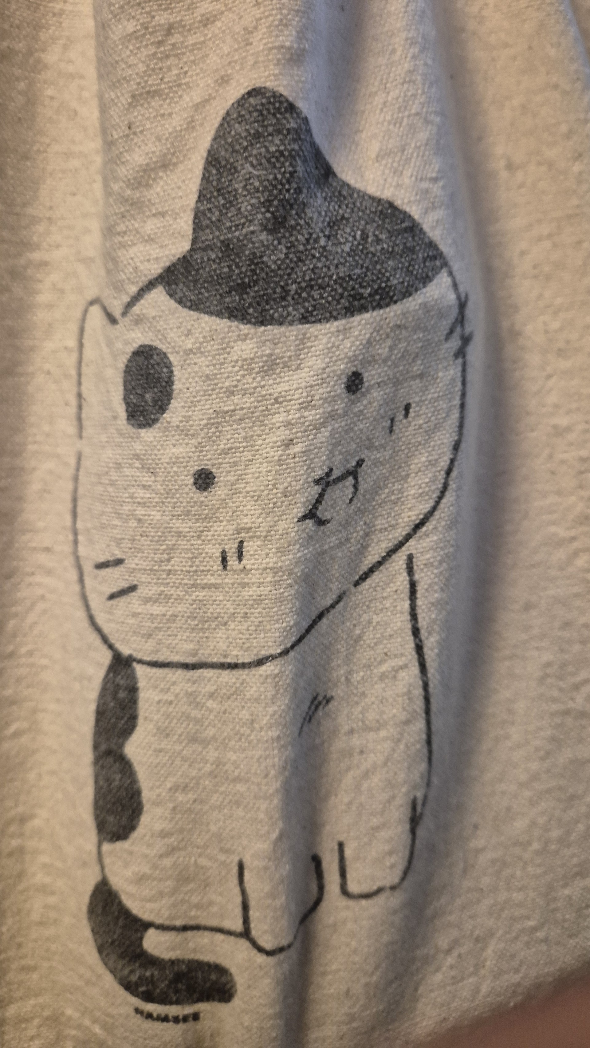 김고양