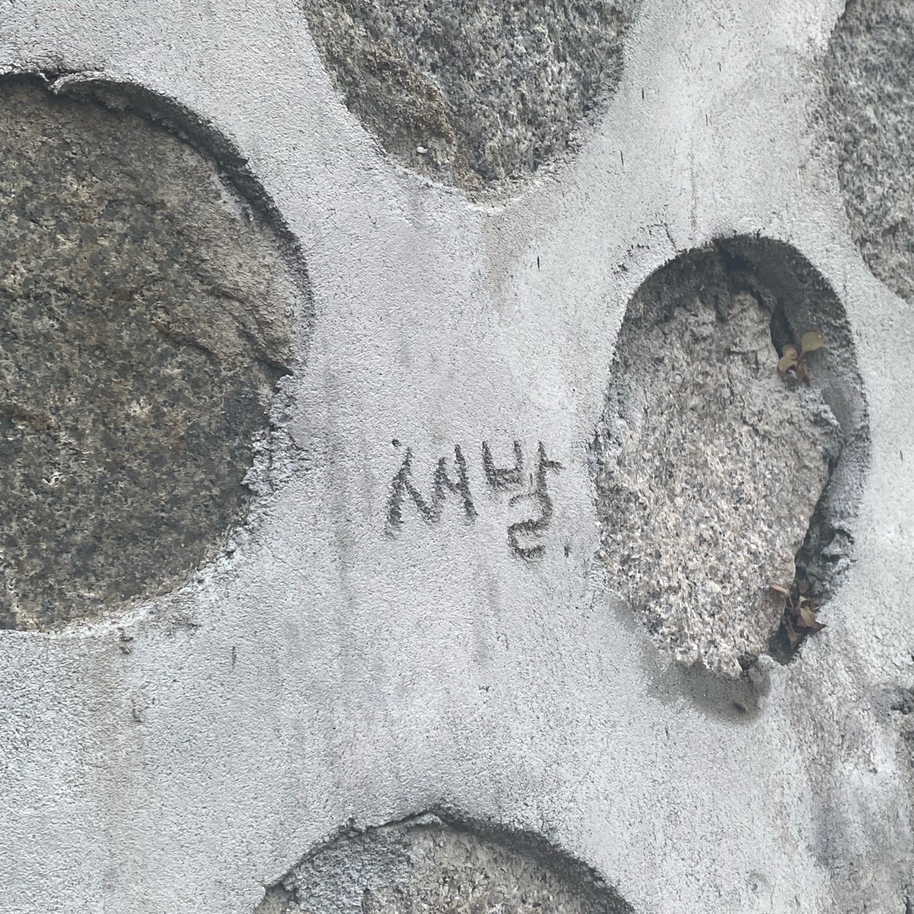 바보