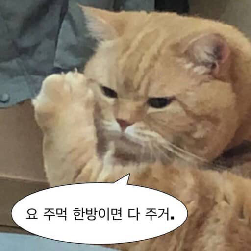 ᕳ 사공이노예 째 밍