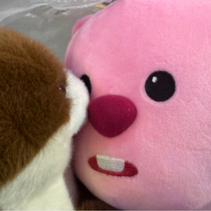 잔망루피