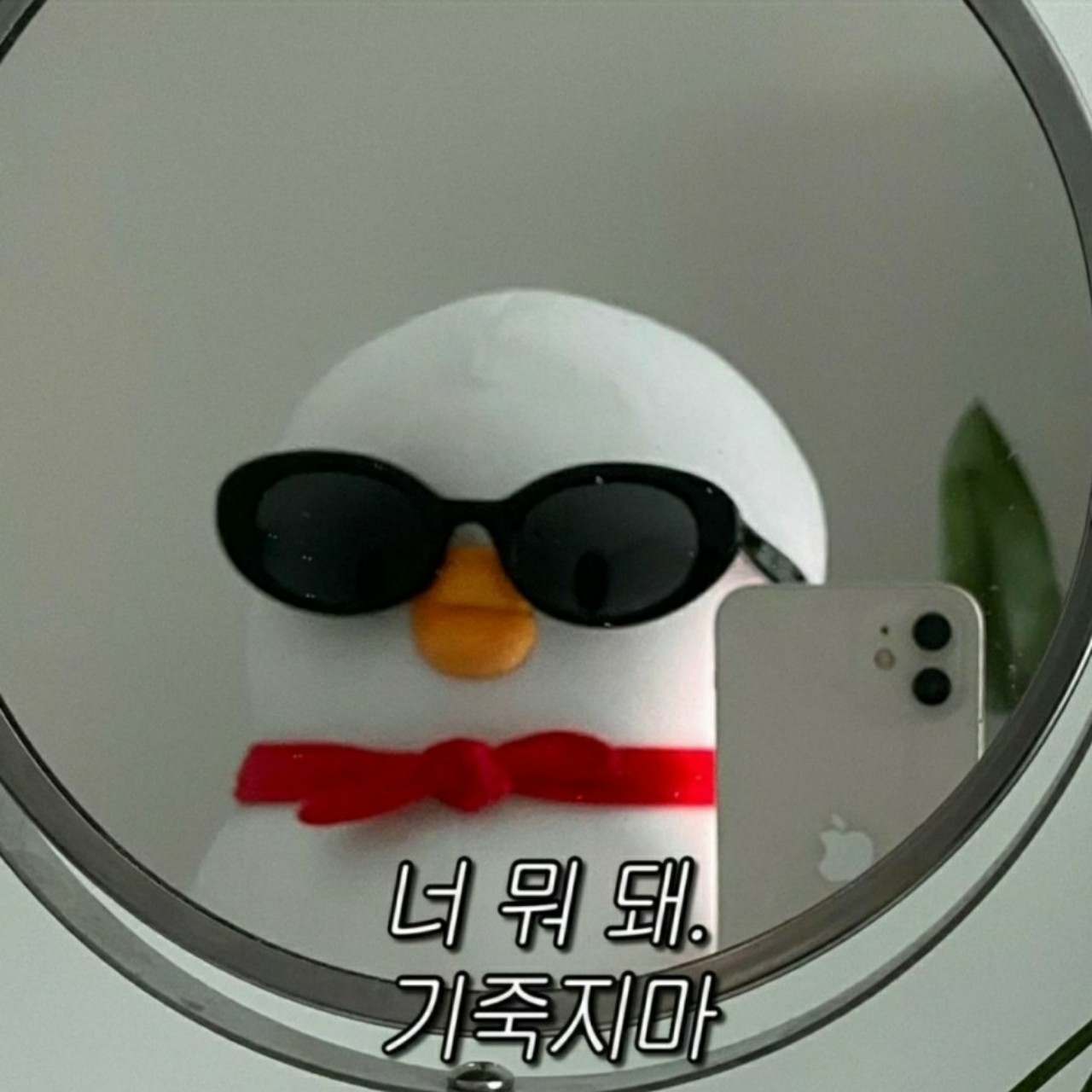 ํ๋e๐ฑ