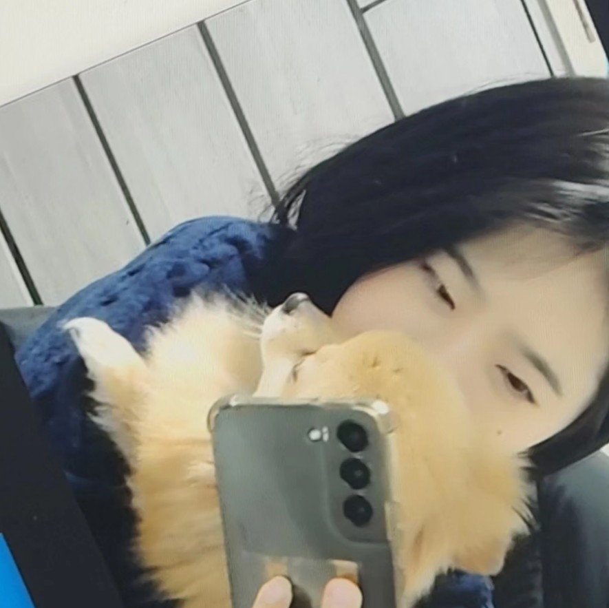 내 생각중