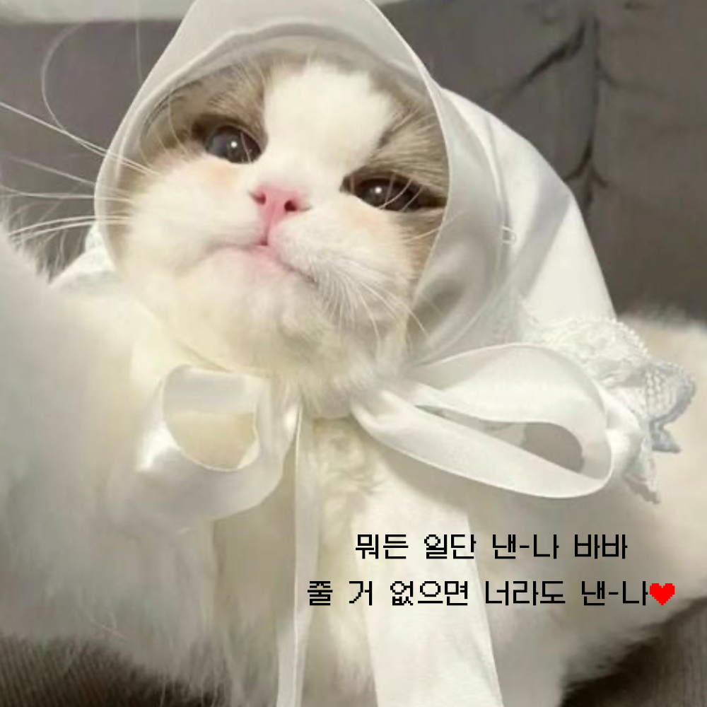 김도아ᴬʳ˚₊· ☽