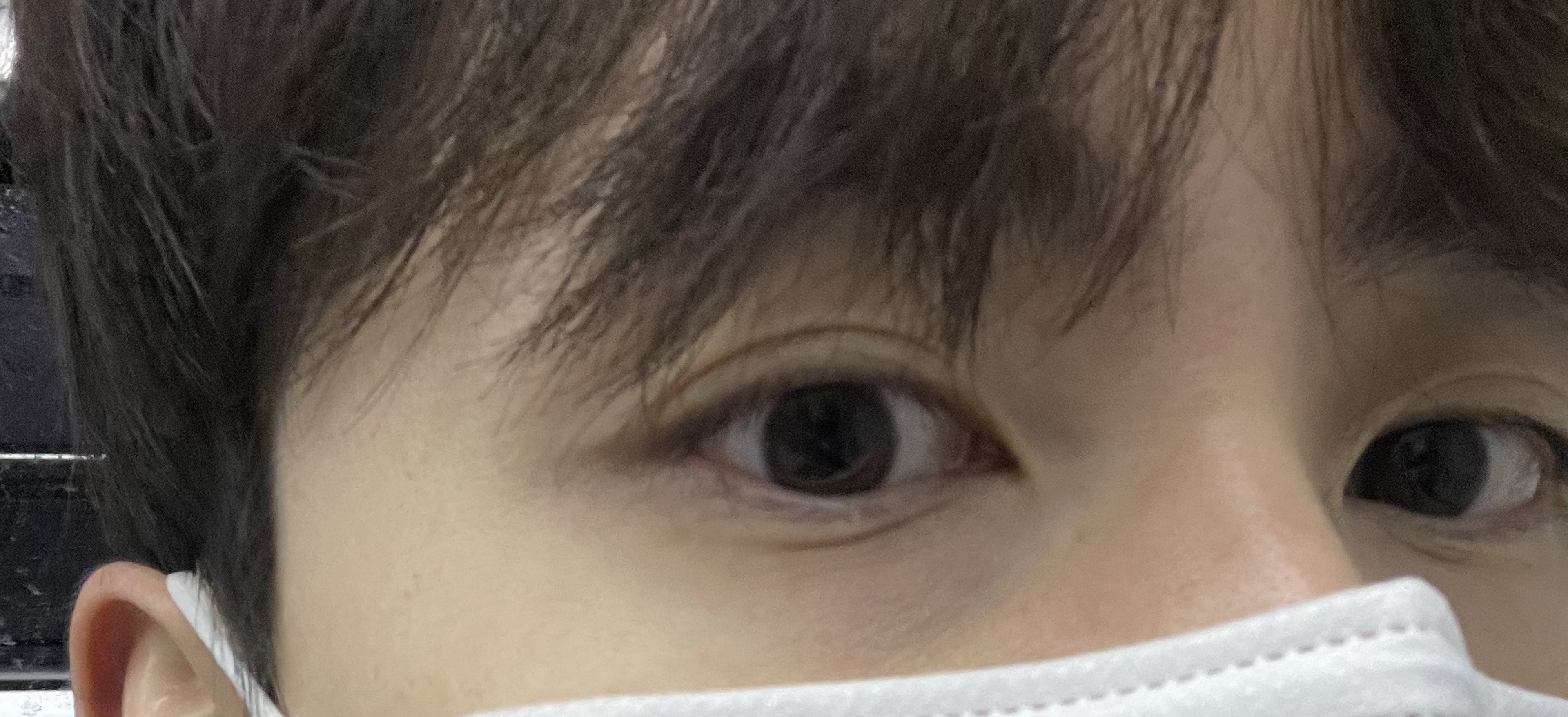 거미니