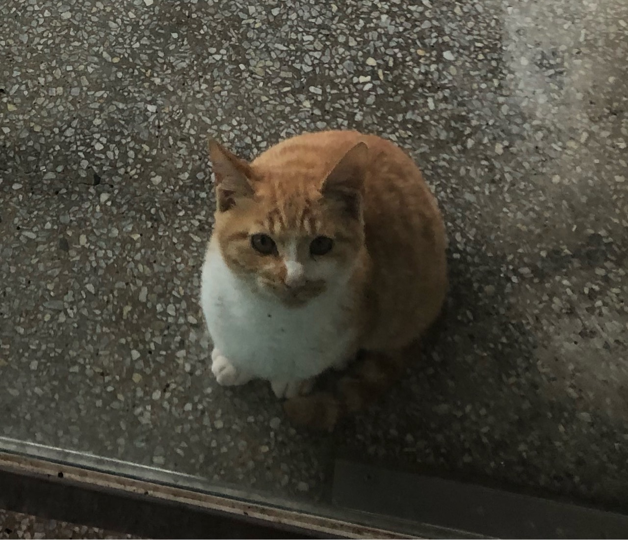 자장가