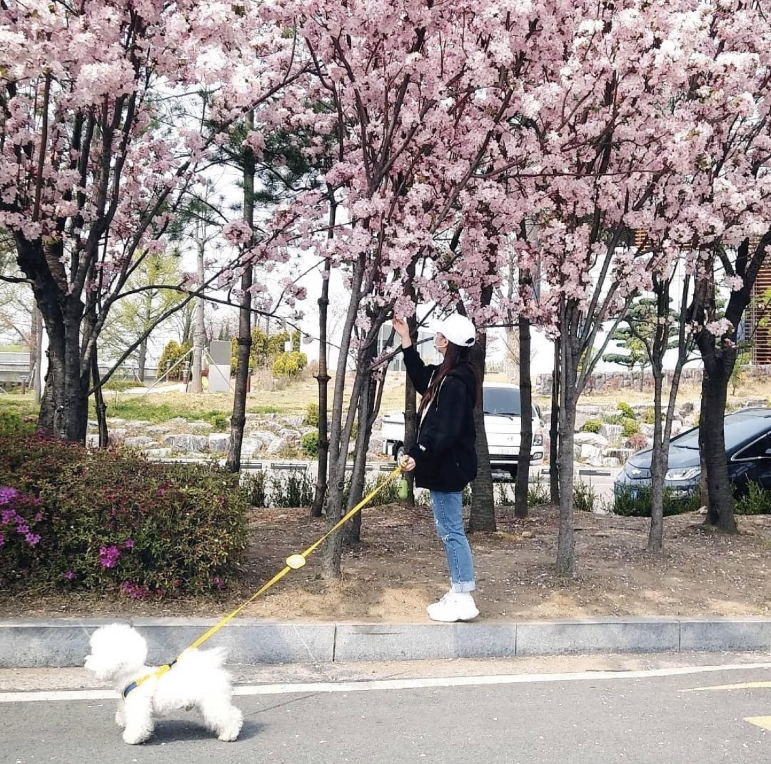 혜 인 ,