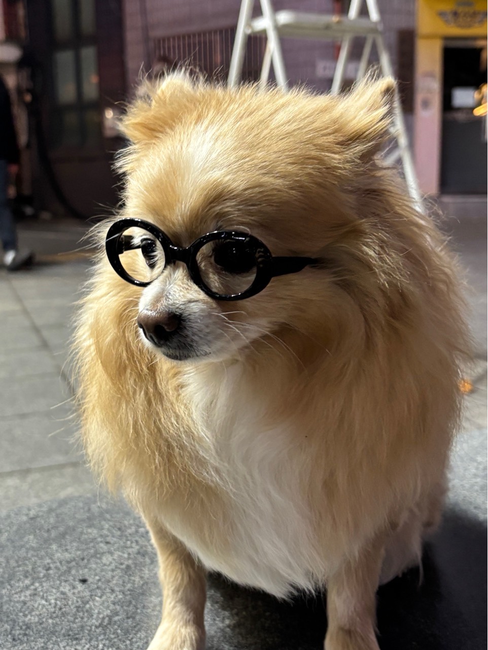 스푼 | DJ 한이 ގ님의 채널